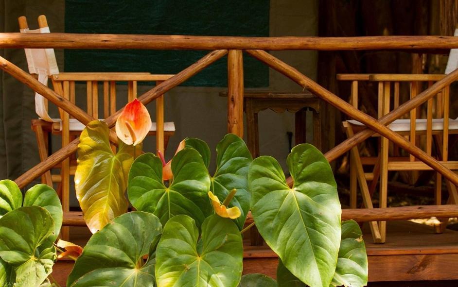 Simbamwenni Lodge And Camping Morogoro Eksteriør bilde