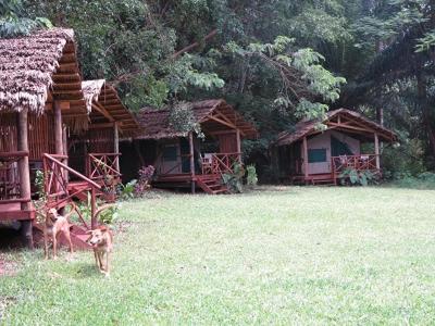 Simbamwenni Lodge And Camping Morogoro Eksteriør bilde