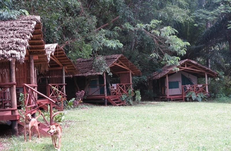 Simbamwenni Lodge And Camping Morogoro Eksteriør bilde