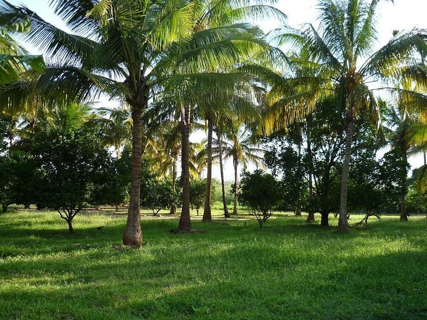 Simbamwenni Lodge And Camping Morogoro Eksteriør bilde